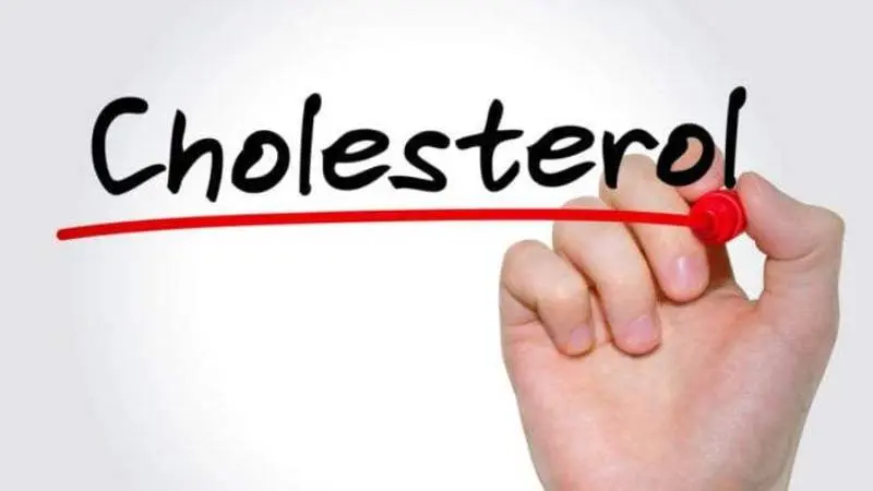 Unraveling the Causes of High Cholesterol: An In-depth Examination